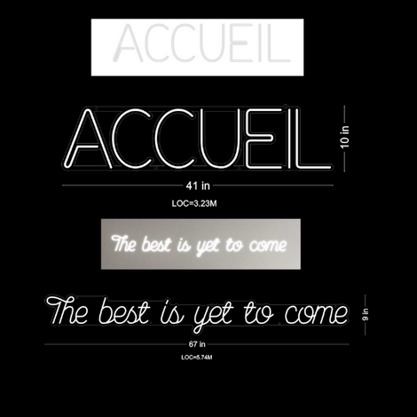 Custom neon signs for Neon Fever