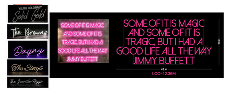 Custom Neon signs for Mr. Benjamin